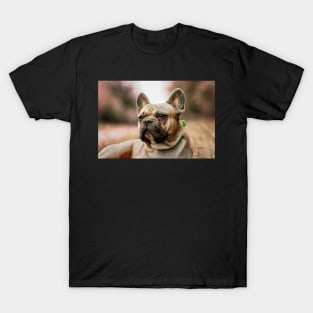 French bulldog with holi powder in the grass T-Shirt